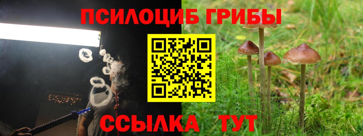 Псилоцибиновые грибы GOLDEN TEACHER Нововоронеж